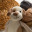 Knit Toys