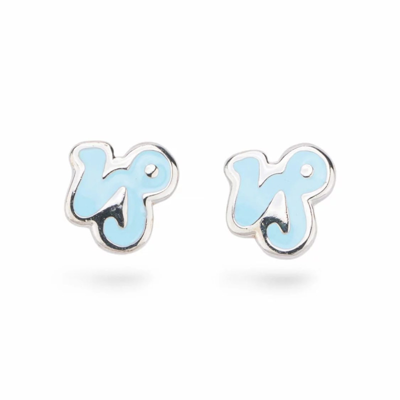 Capricorn Zodiac Earrings